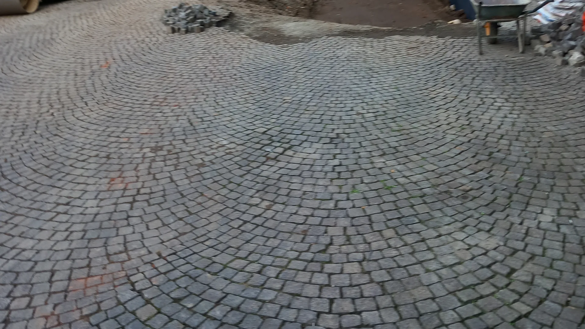 movimento terra universita milano 4